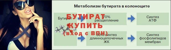 молекула духа Богородицк